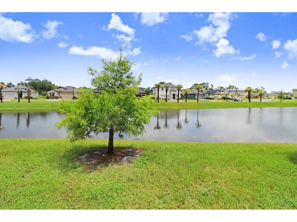 8076 Tea Olive Terrace Palmetto FL 34221 A4659127 image27