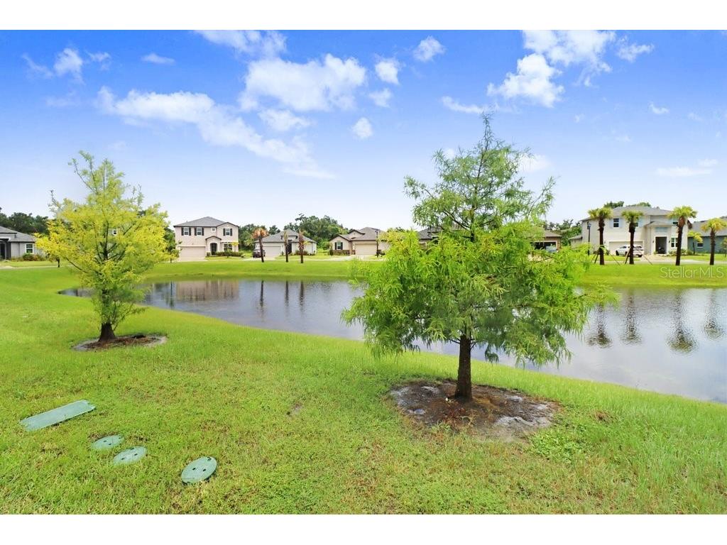 8076 Tea Olive Terrace Palmetto FL 34221 A4659127 image28