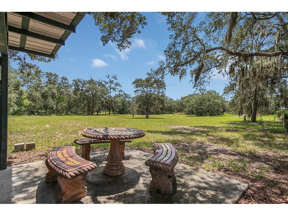 8077 Lake Hatchineha Road Haines City FL 33844 L4954548 image26