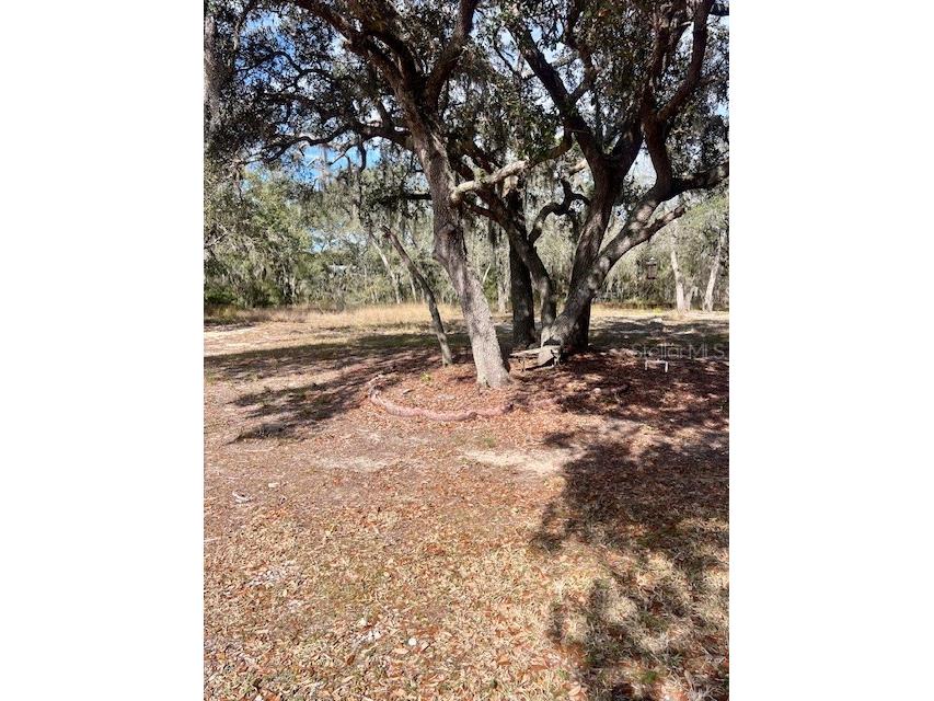 8077 Lake Hatchineha Road Haines City FL 33844 L4954548 image34