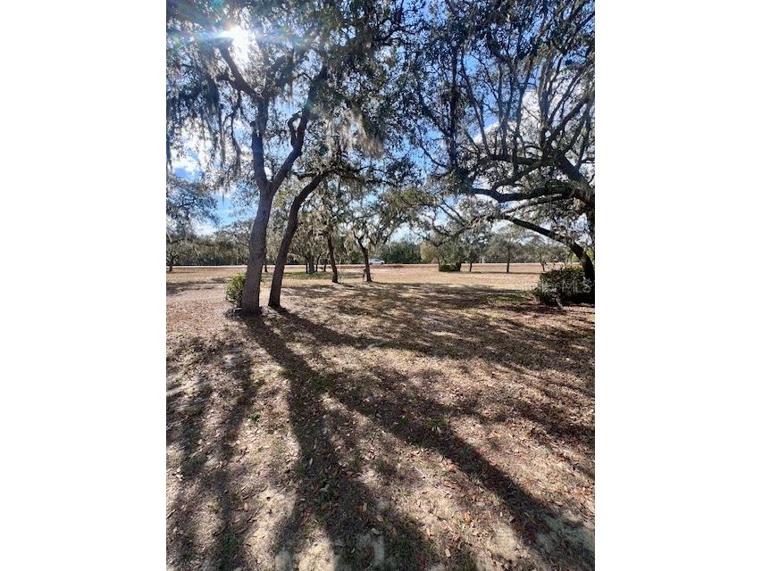 8077 Lake Hatchineha Road Haines City FL 33844 L4954548 image36