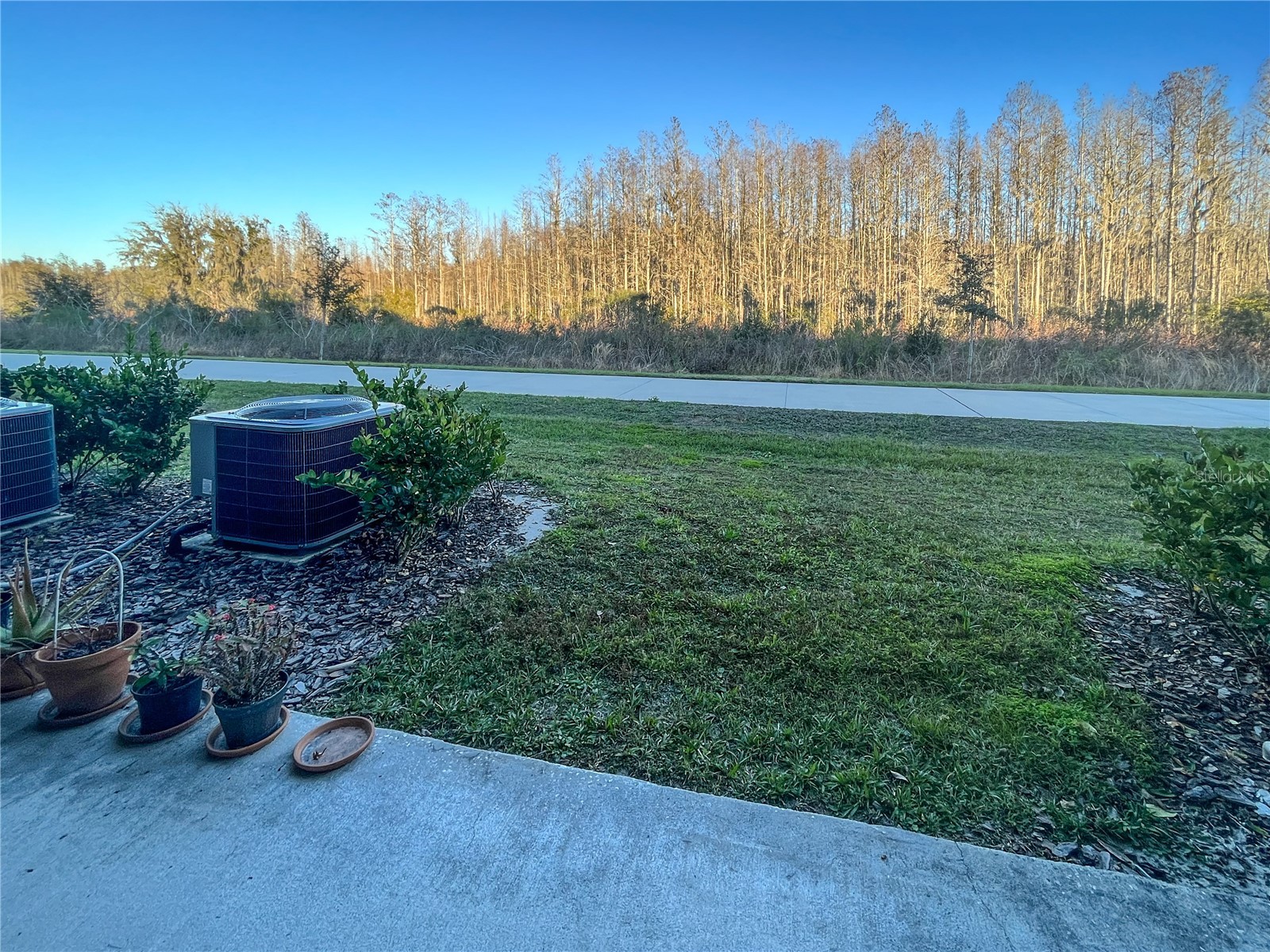 8078 Rolling Shell Trail Wesley Chapel FL 33545 TB8500682 image3