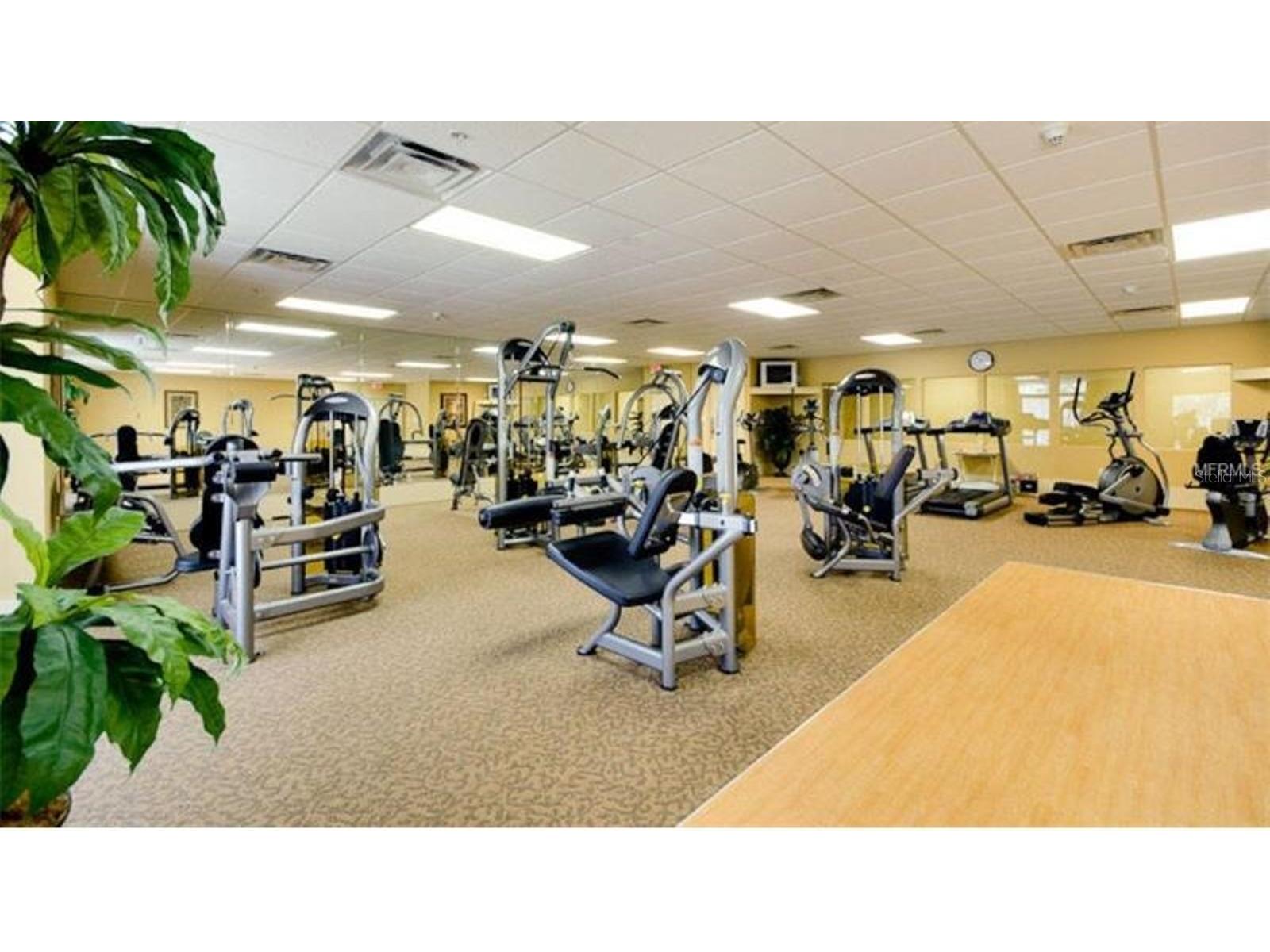 808 3rd Avenue W #701 Bradenton FL 34205 A4685829 image28