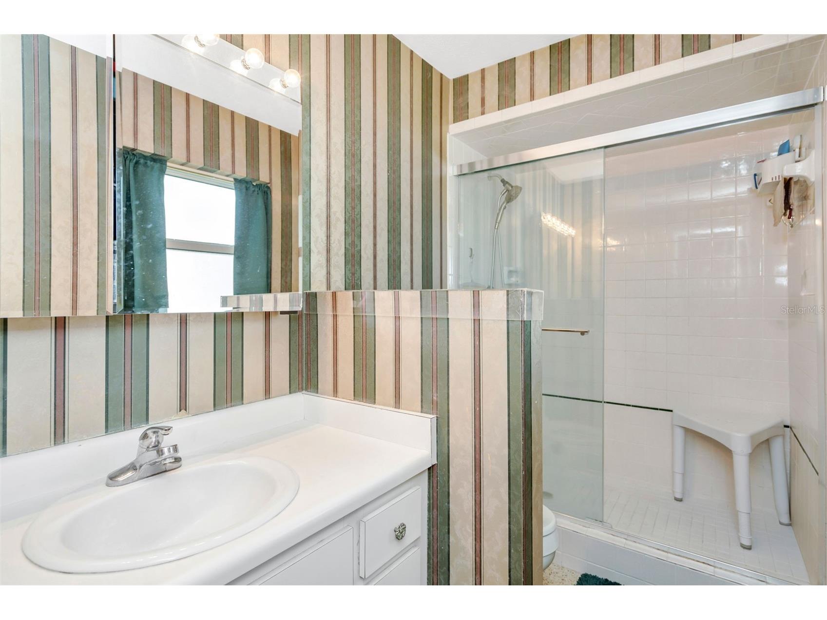 808 Coulter Pl Brandon FL 33511 TB8489176 image22