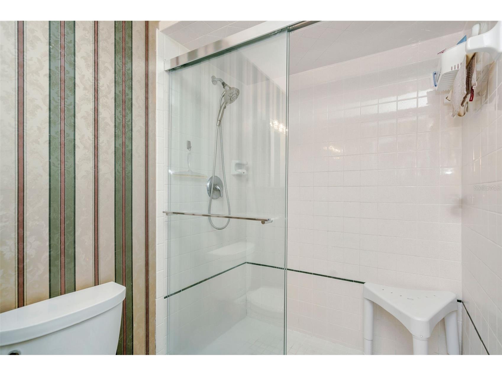 808 Coulter Pl Brandon FL 33511 TB8489176 image24