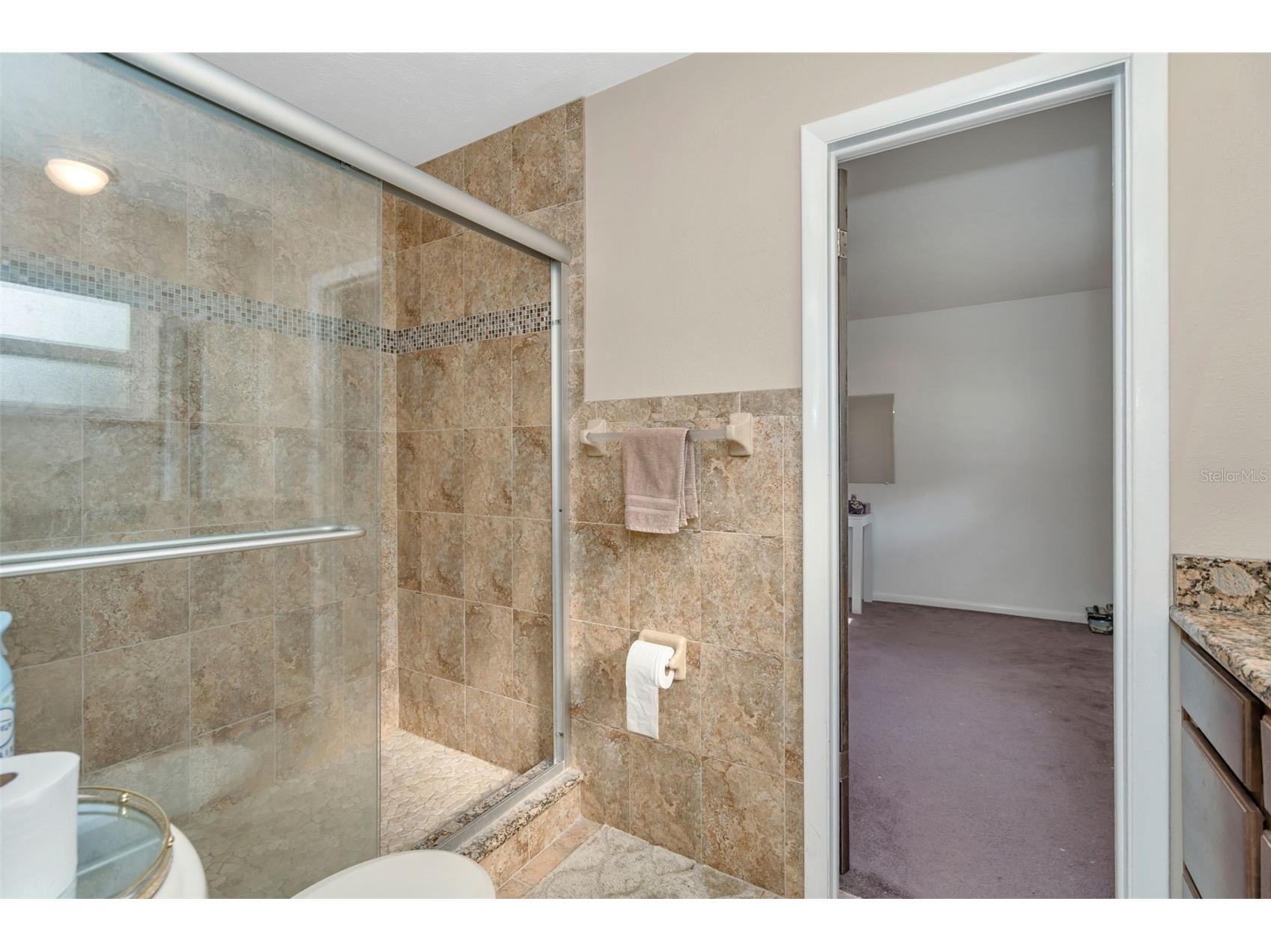808 Coulter Pl Brandon FL 33511 TB8489176 image27