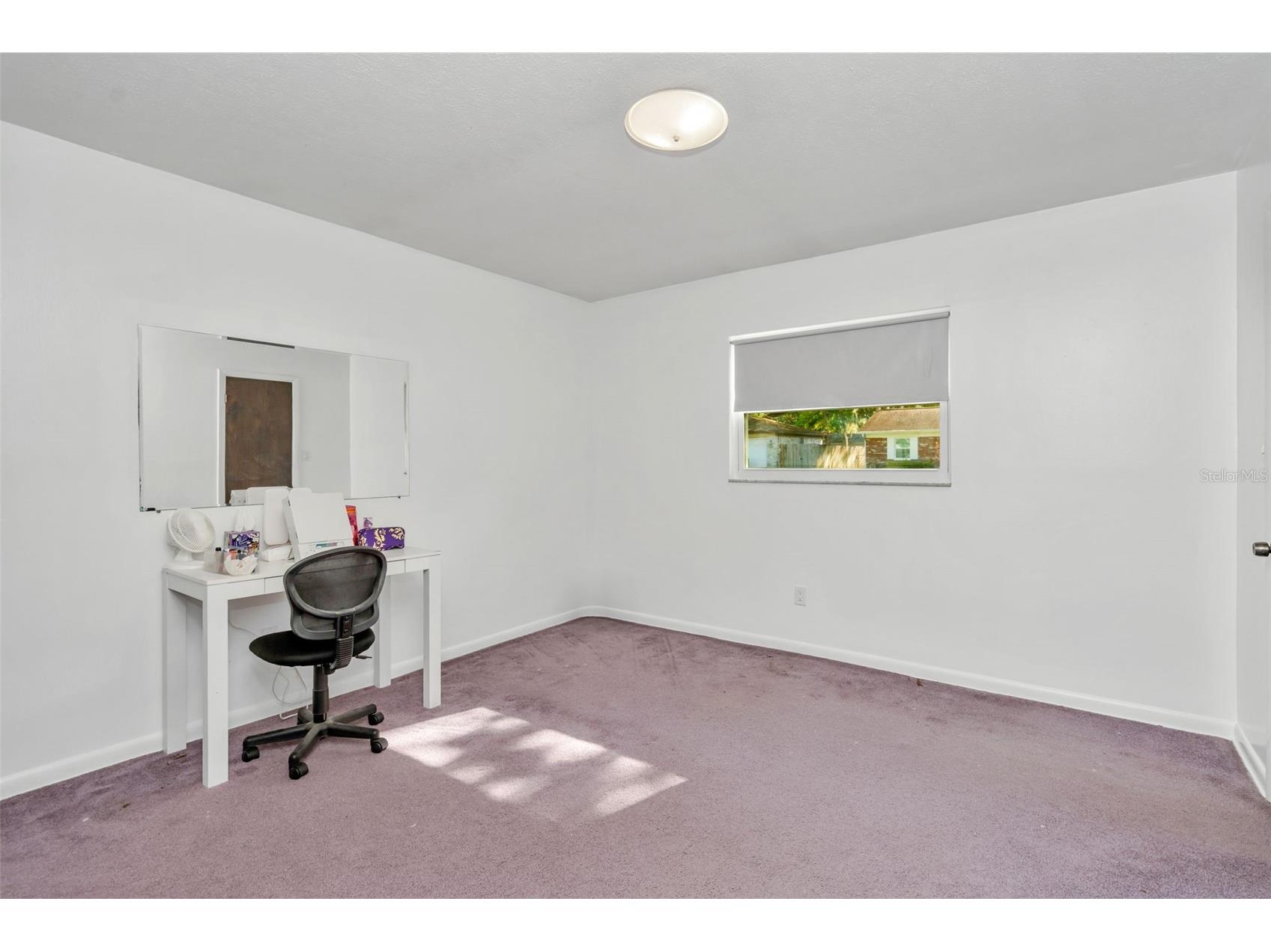 808 Coulter Pl Brandon FL 33511 TB8489176 image29