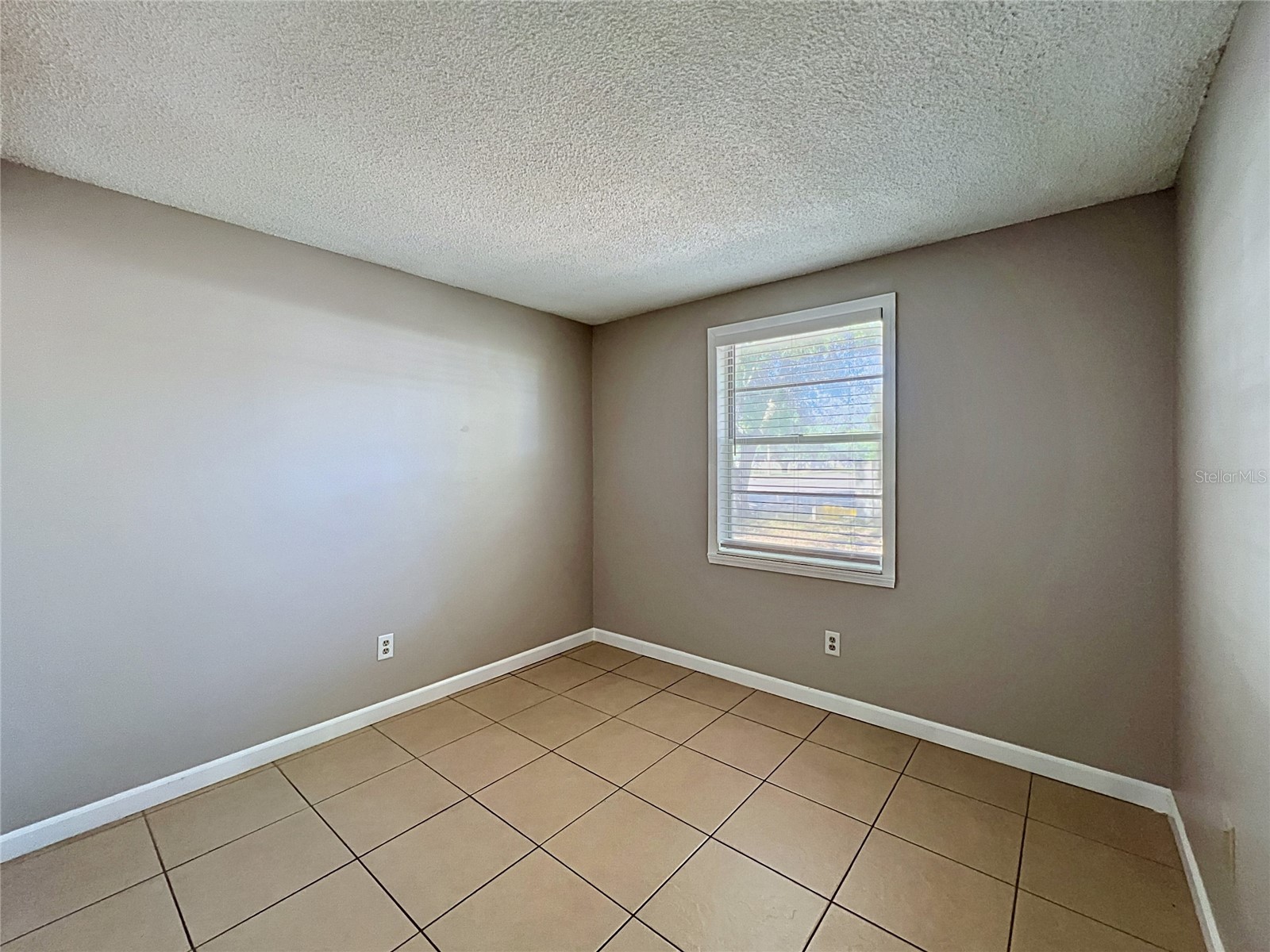 808 Falkirk Avenue Valrico FL 33594 TB8506393 image23