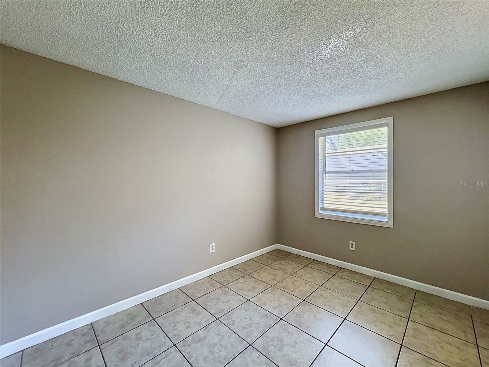 808 Falkirk Avenue Valrico FL 33594 TB8506393 image28