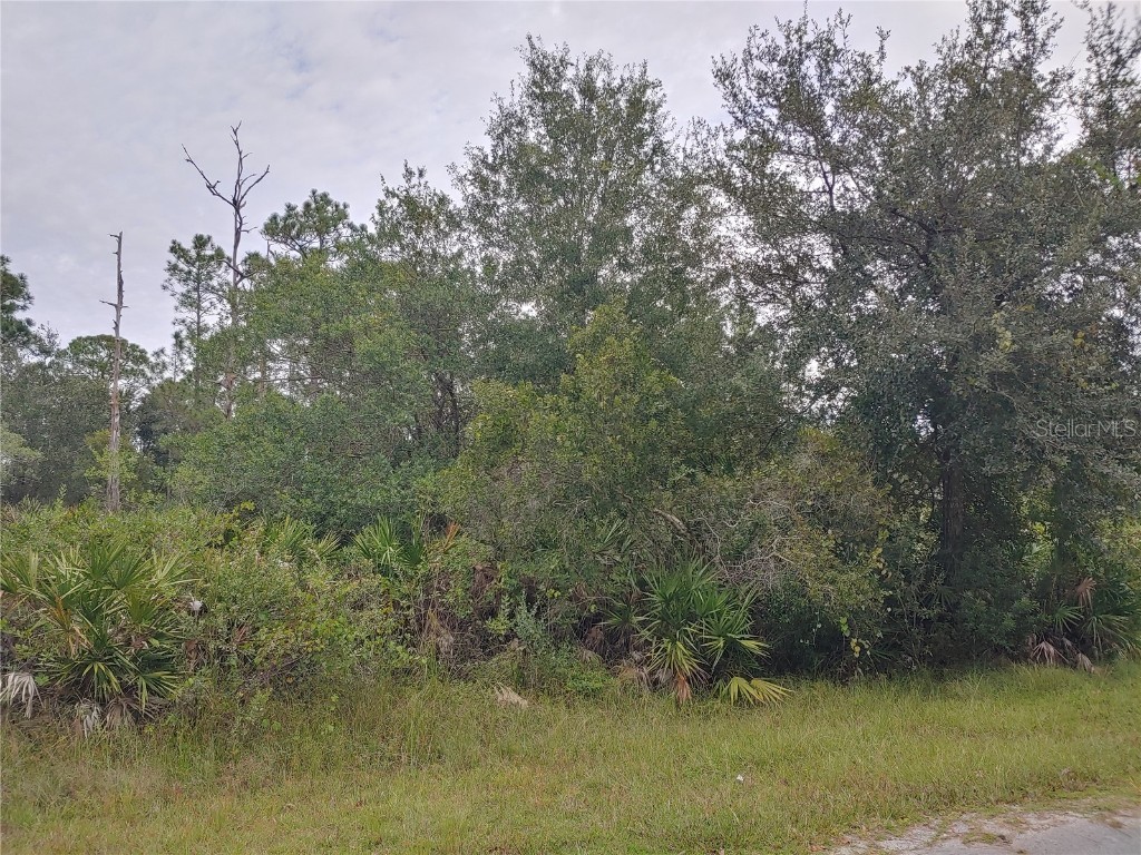 808 Gardenia Drive Indian Lake Estates FL 33855 S5075970 image1