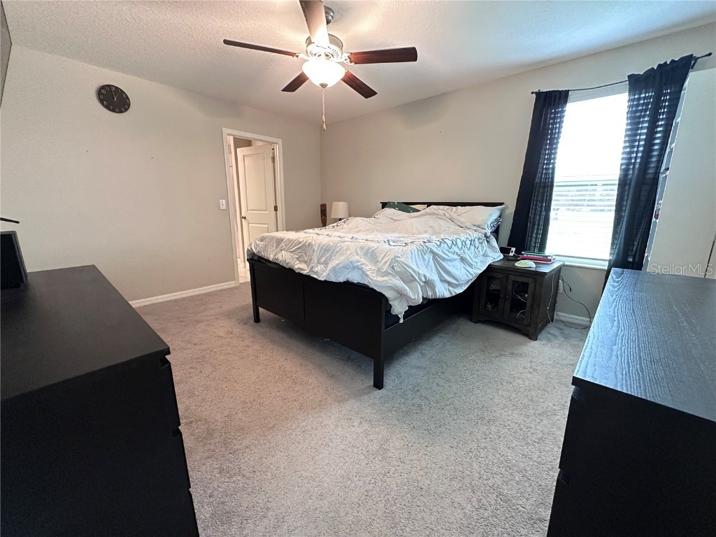 808 Nutmeg Spice Place Ruskin FL 33570 TB8423397 image18