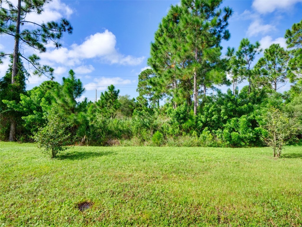 808 Old Country Road SE Palm Bay FL 32909 G5102612 image35