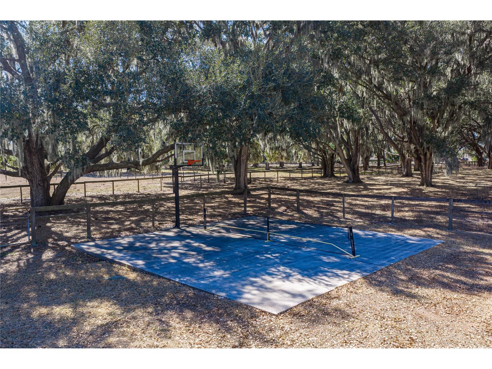 808 Old Welcome Road Lithia FL 33547 TB8472107 image50