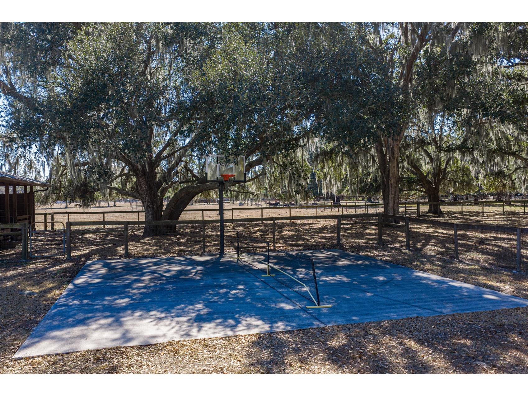 808 Old Welcome Road Lithia FL 33547 TB8472107 image51