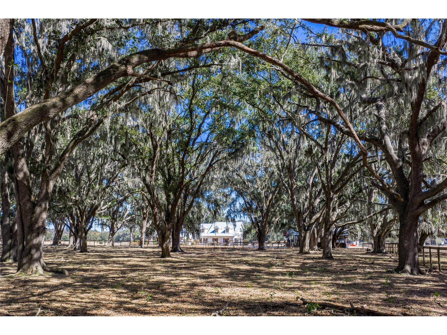 808 Old Welcome Road Lithia FL 33547 TB8472107 image69