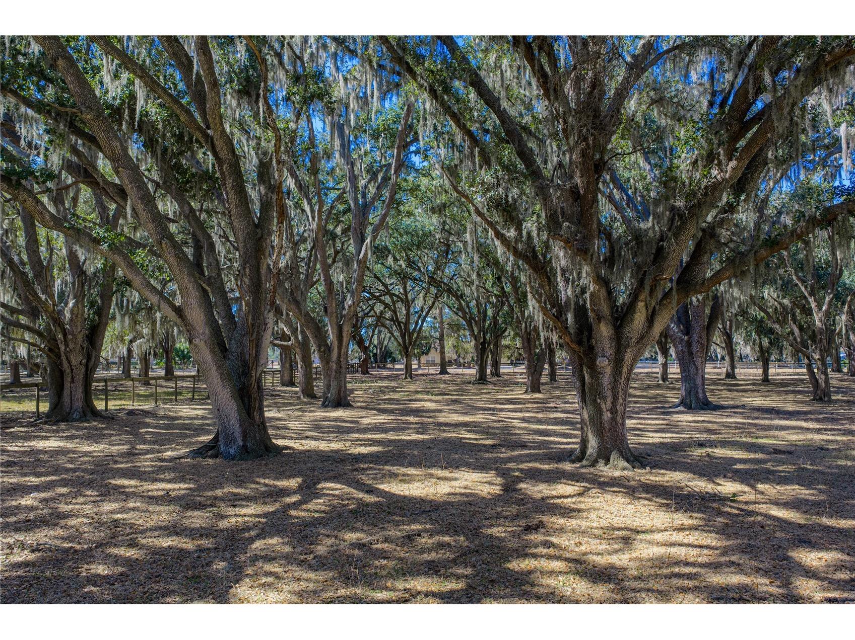 808 Old Welcome Road Lithia FL 33547 TB8472107 image70