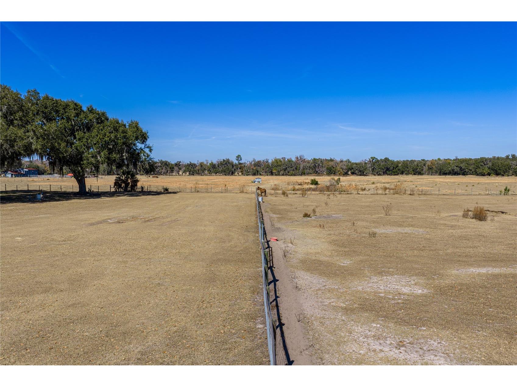 808 Old Welcome Road Lithia FL 33547 TB8472107 image84