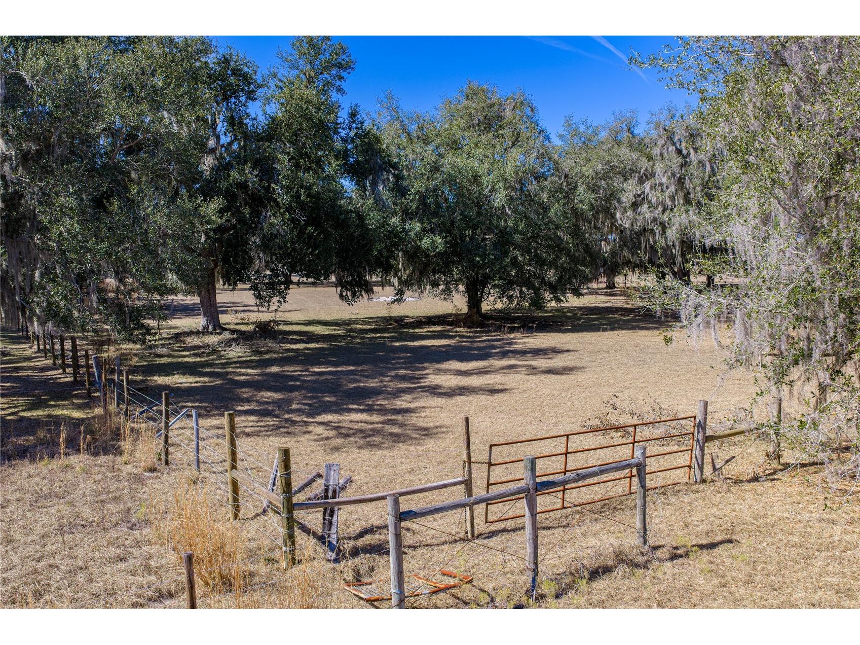 808 Old Welcome Road Lithia FL 33547 TB8472107 image87