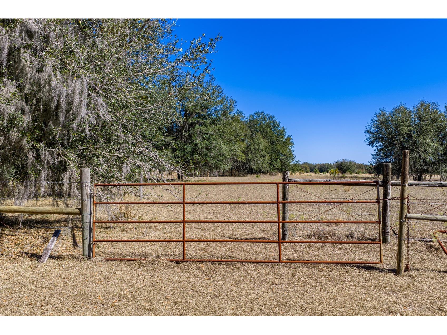 808 Old Welcome Road Lithia FL 33547 TB8472107 image88