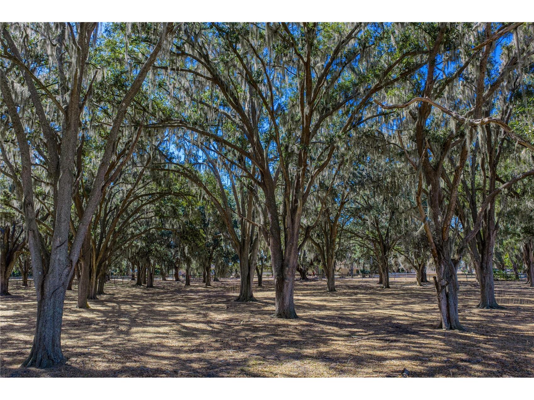 808 Old Welcome Road Lithia FL 33547 TB8472107 image92