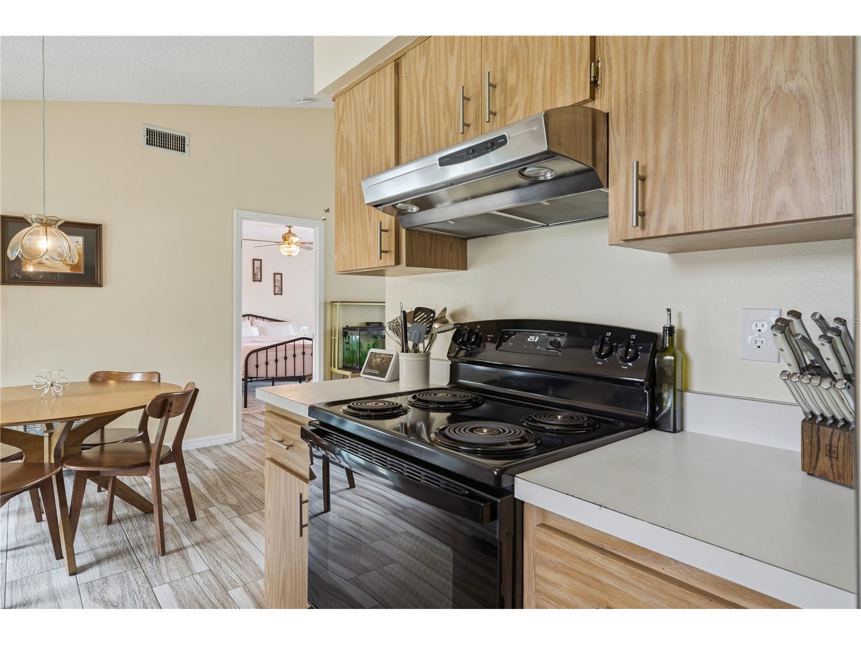 808 Orange Brook Drive Minneola FL 34715 O6412218 image10