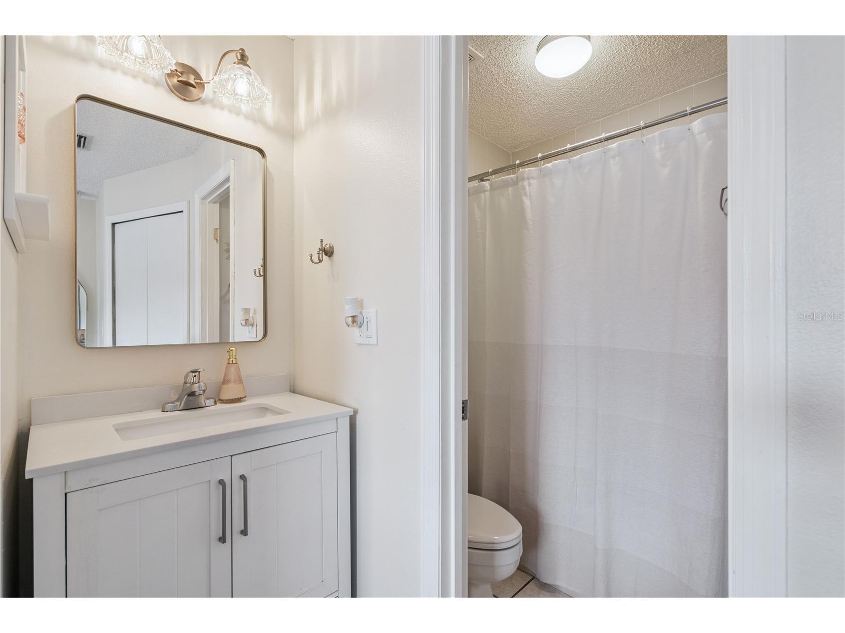 808 Orange Brook Drive Minneola FL 34715 O6412218 image14