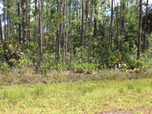 808 Orchid Drive Indian Lake Estates FL 33855 O6394543 image1