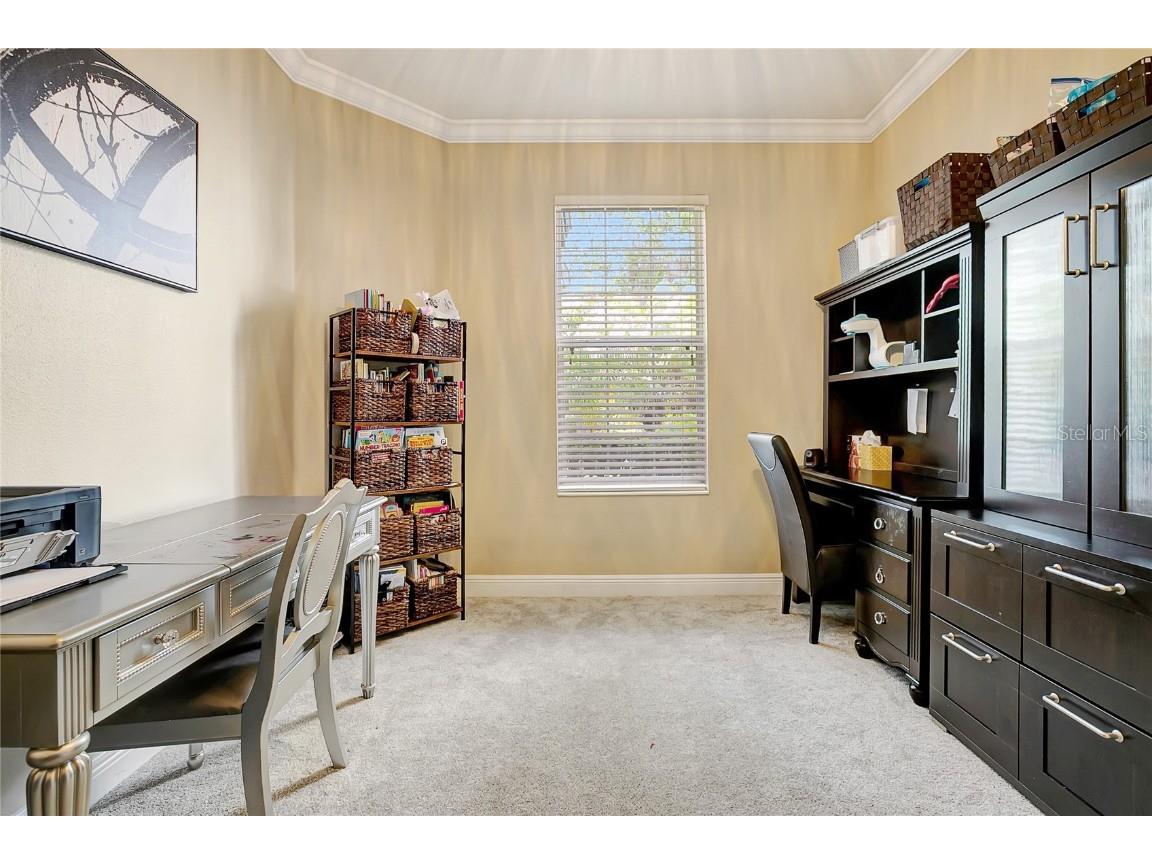 808 River Hammock Boulevard Brandon FL 33511 TB8431832 image15