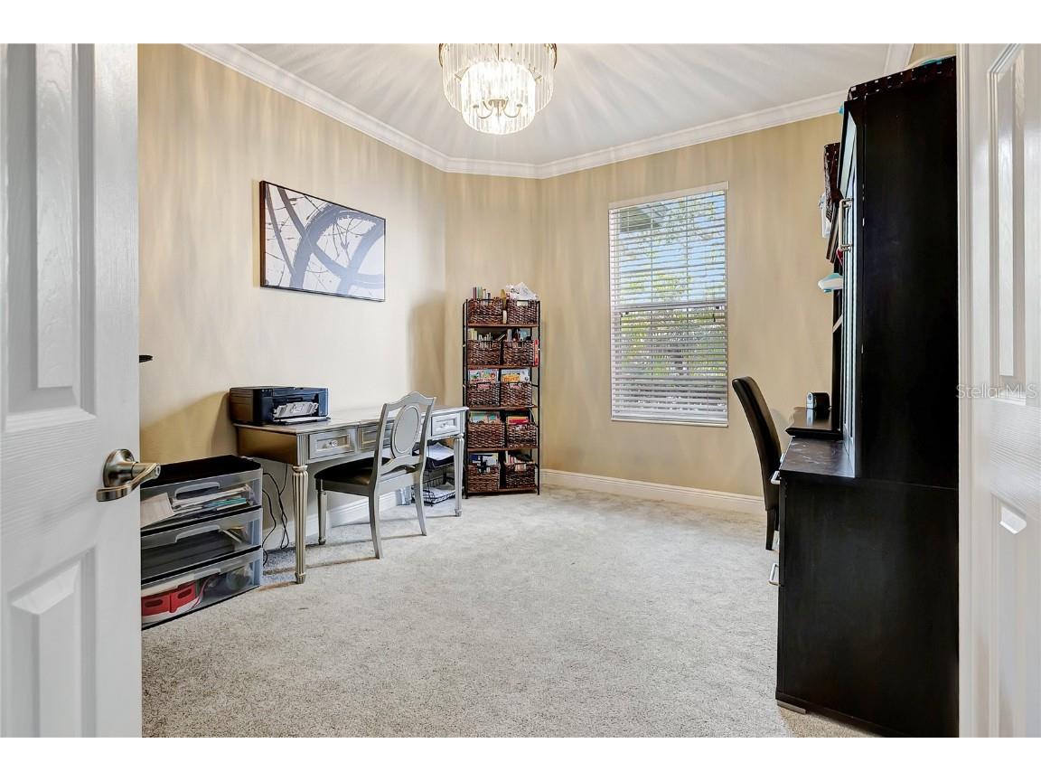 808 River Hammock Boulevard Brandon FL 33511 TB8431832 image16