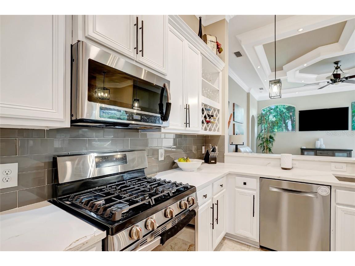 808 River Hammock Boulevard Brandon FL 33511 TB8431832 image18