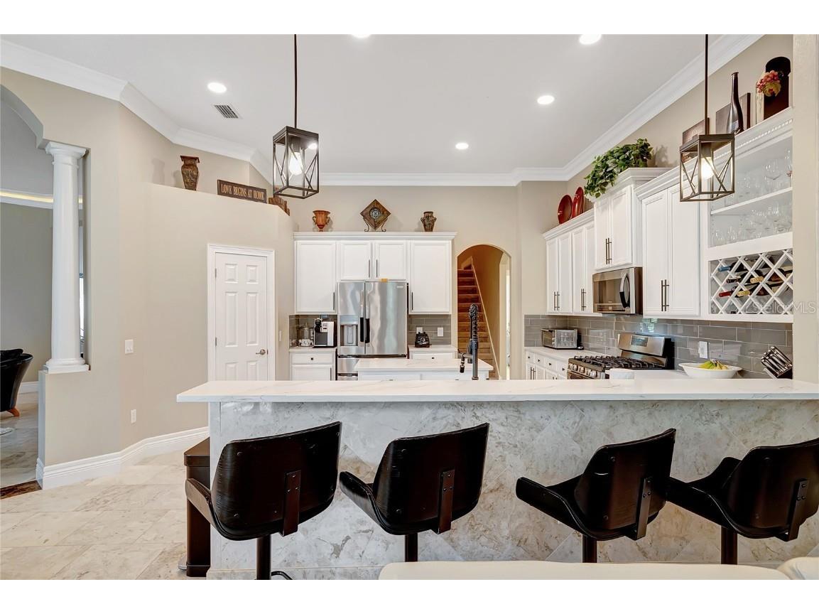 808 River Hammock Boulevard Brandon FL 33511 TB8431832 image20