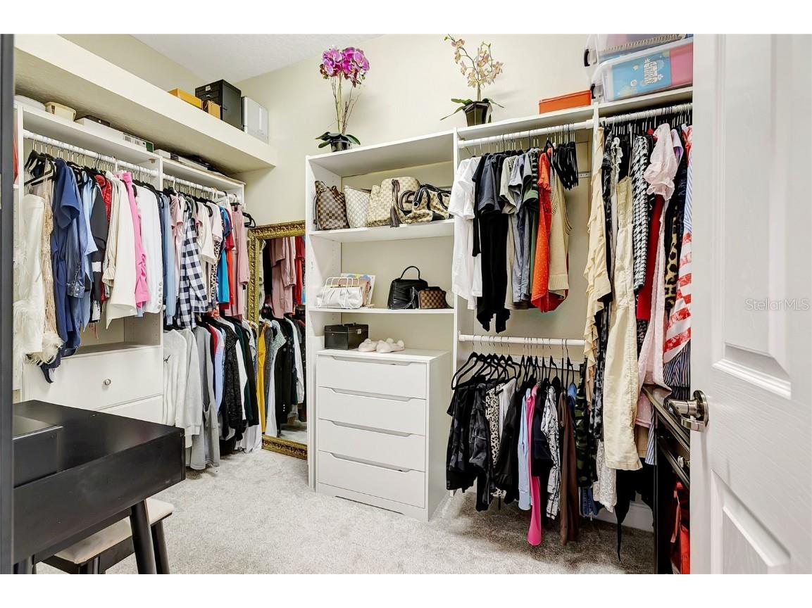 808 River Hammock Boulevard Brandon FL 33511 TB8431832 image26