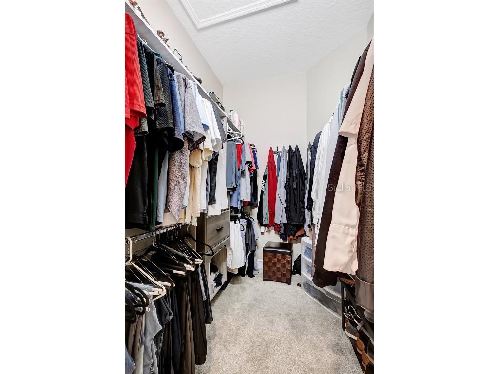 808 River Hammock Boulevard Brandon FL 33511 TB8431832 image27