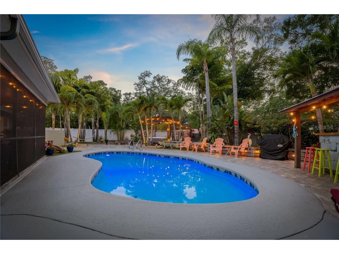 808 Rustic Oaks Drive Palm Harbor FL 34684 TB8436418 image42