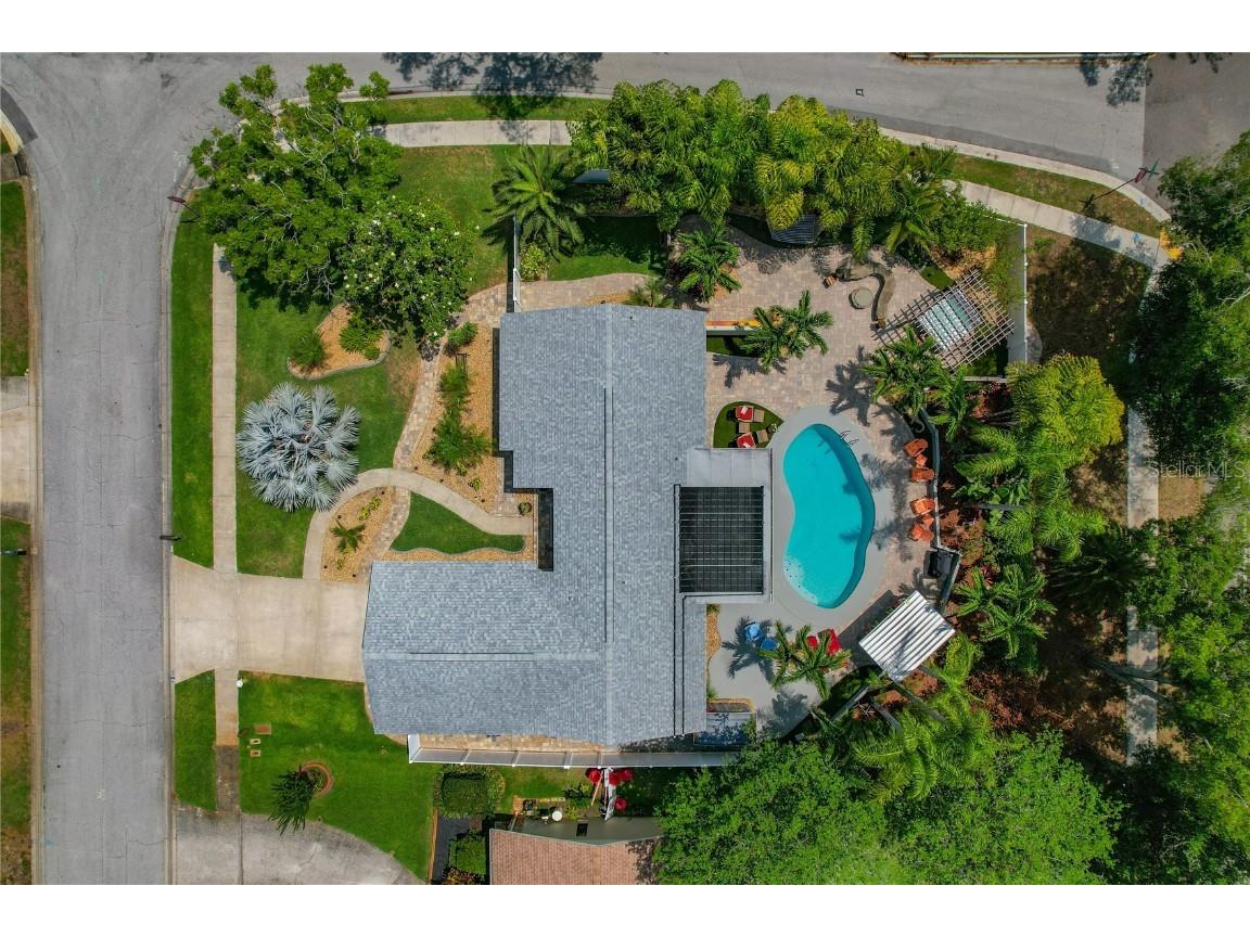 808 Rustic Oaks Drive Palm Harbor FL 34684 TB8436430 image1