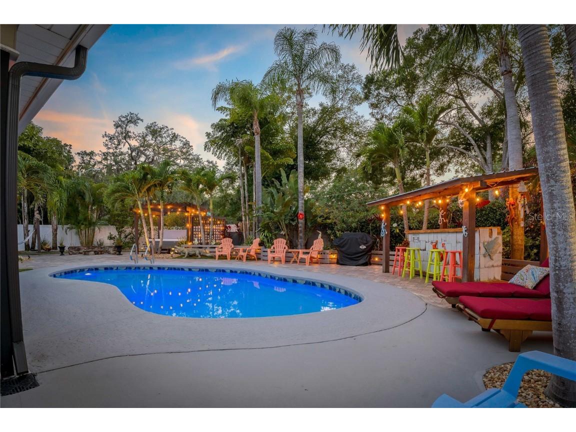 808 Rustic Oaks Drive Palm Harbor FL 34684 TB8436430 image4