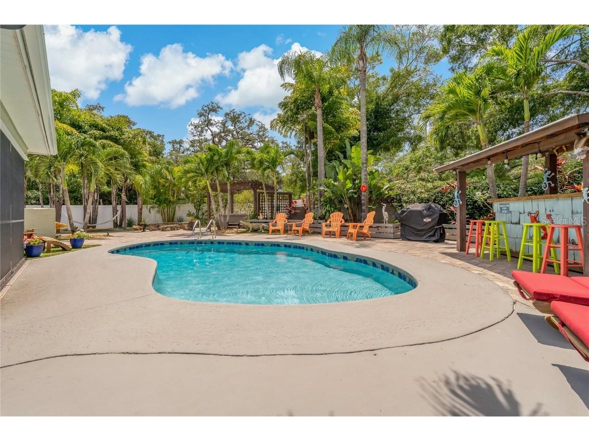 808 Rustic Oaks Drive Palm Harbor FL 34684 TB8436430 image47