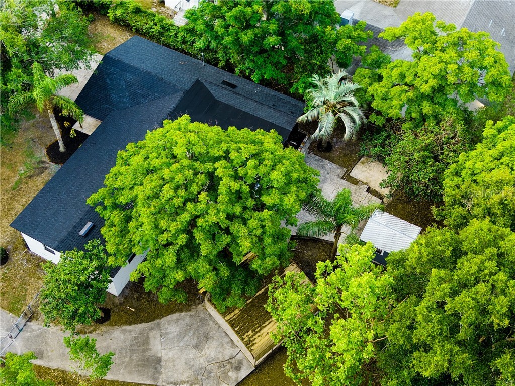 808 S Clara Avenue Deland FL 32720 TB8387432 image46