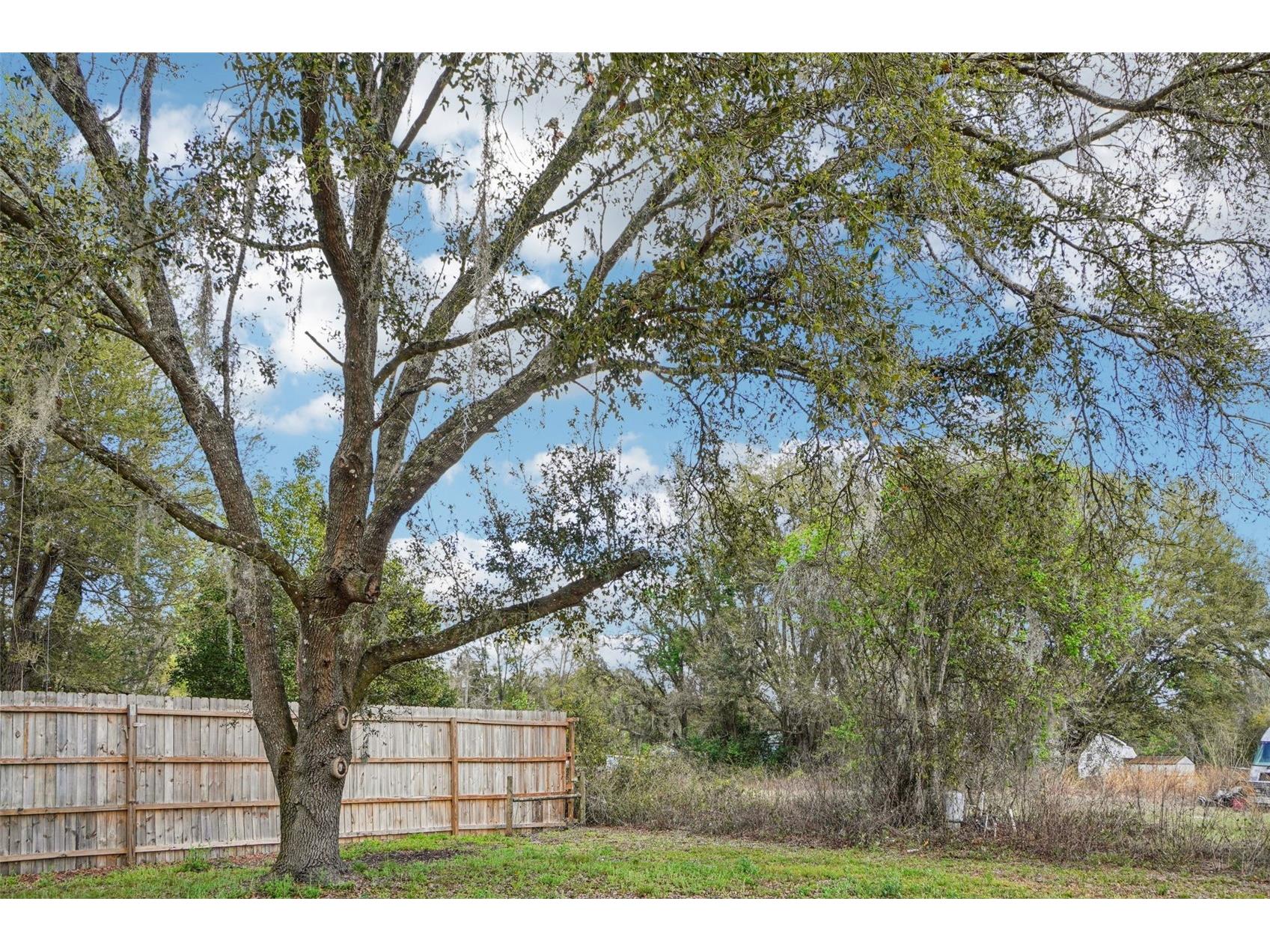 808 SE 124th Avenue Webster FL 33597 O6388701 image16