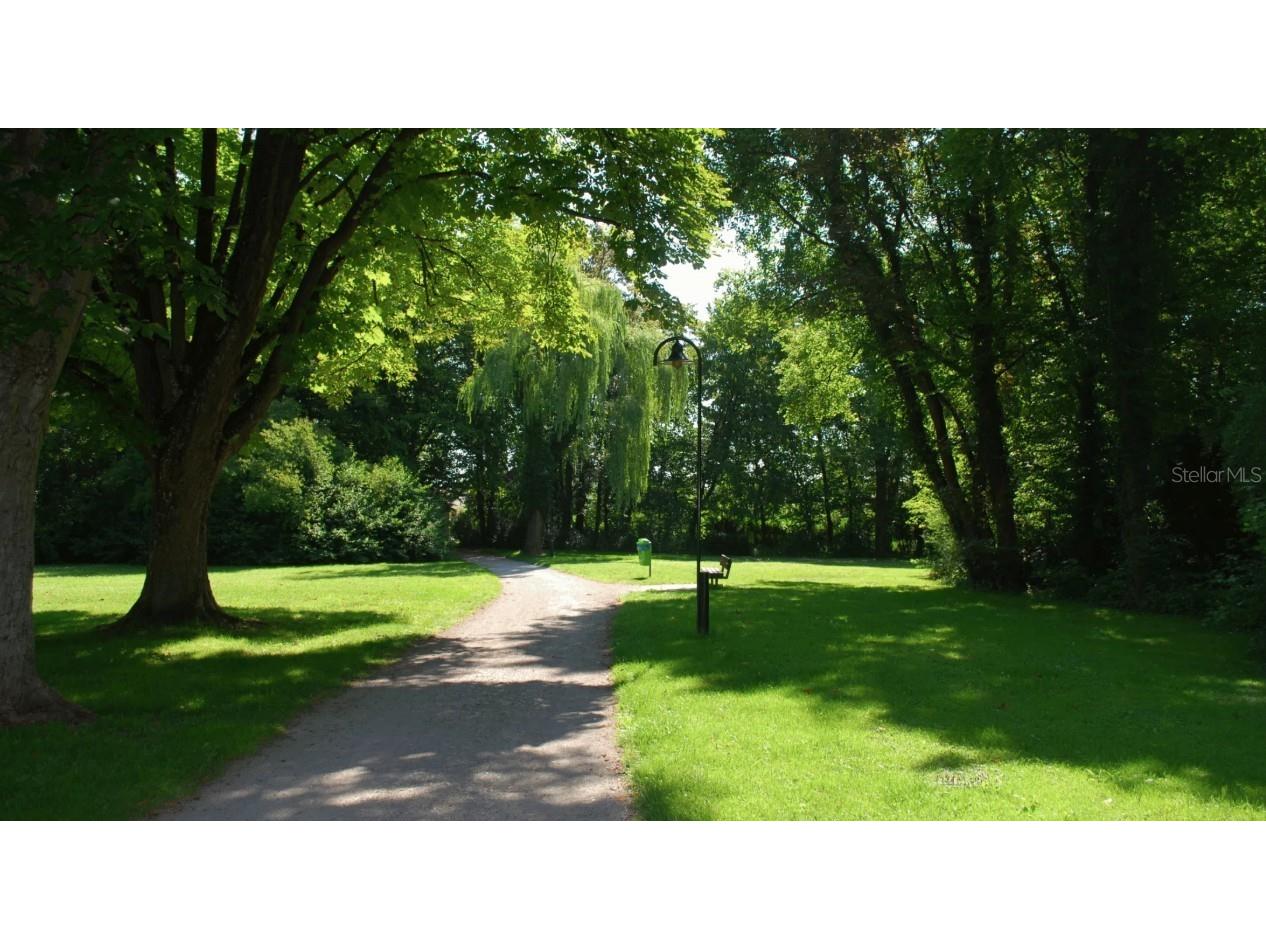 808 Sunshower Drive Lady Lake FL 32159 O6357488 image16