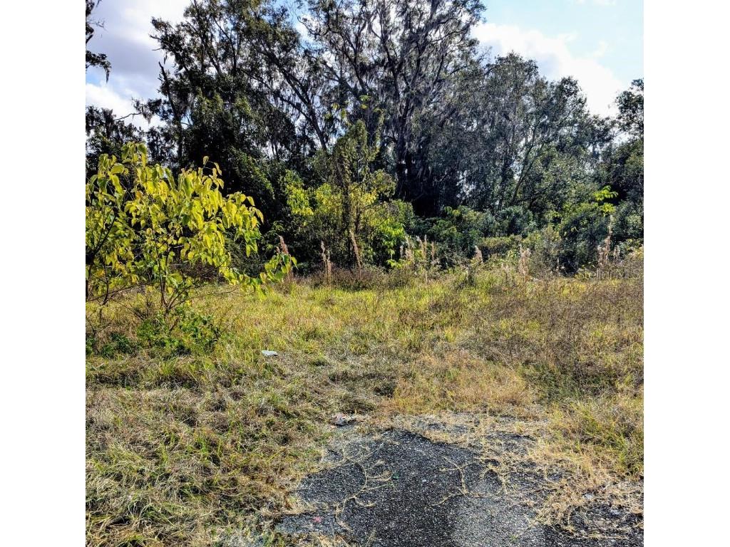 808 SW 3rd Street Ocala FL 34471 OM714463 image1