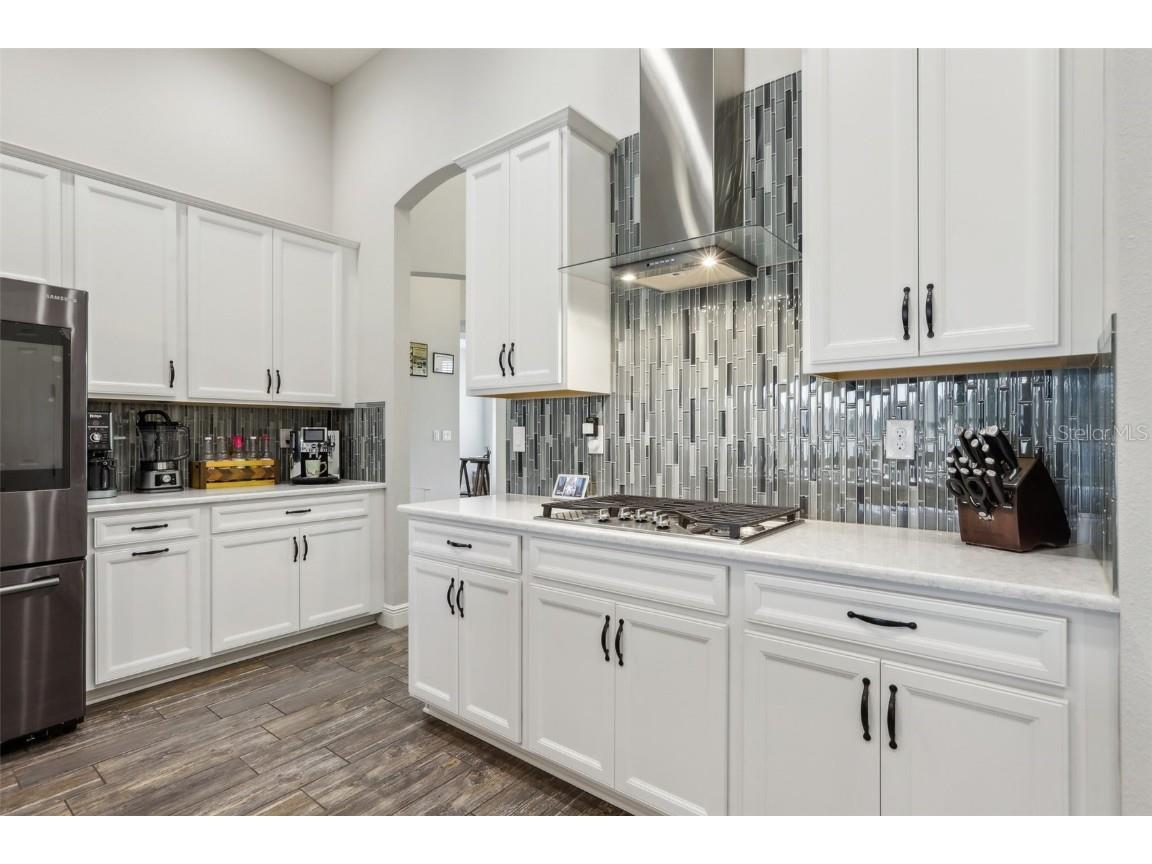 808 Vittorio Place Brandon FL 33511 TB8394440 image13