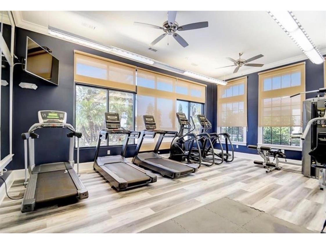 808 Waterfern Trail Drive Auburndale FL 33823 - LAKE VAN L4956761 image7