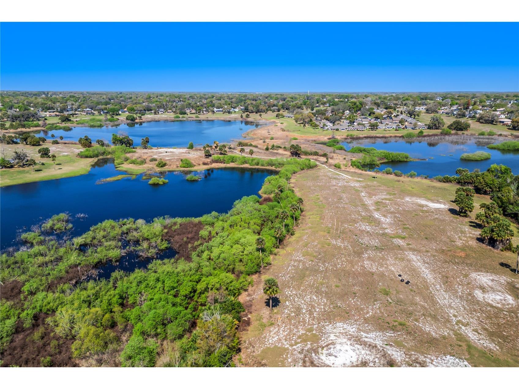 808 White Ivey Court Apopka FL 32712 O6390321 image55