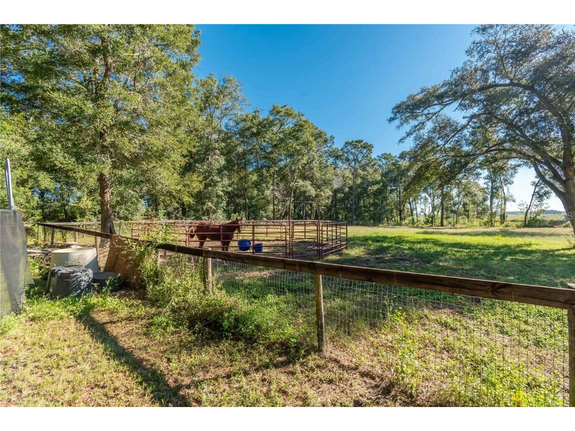8081 SW 41st Place Road Ocala FL 34481 OM711276 image43