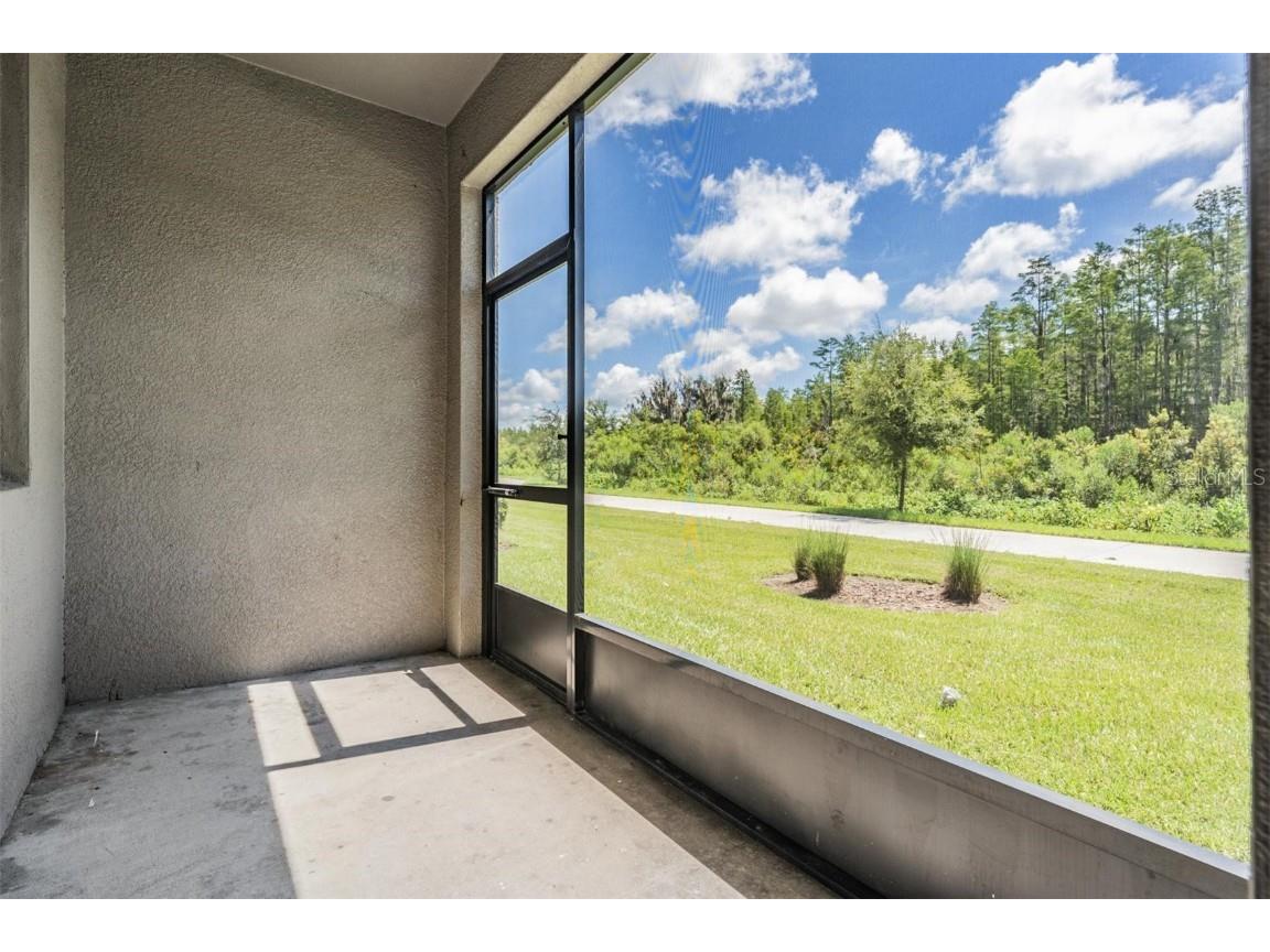 8082 Rolling Shell Trail Wesley Chapel FL 33545 TB8457575 image32