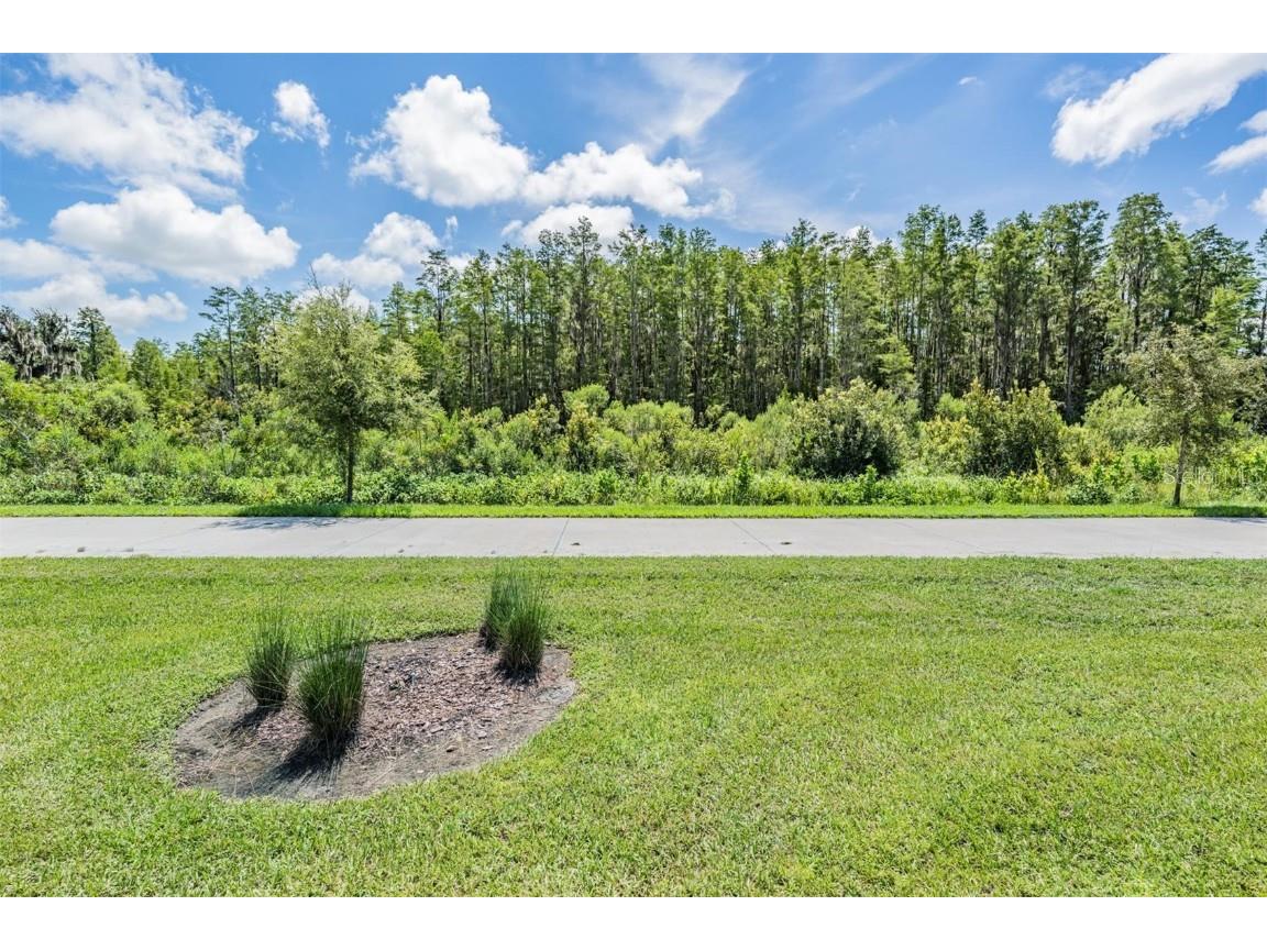 8082 Rolling Shell Trail Wesley Chapel FL 33545 TB8457575 image33