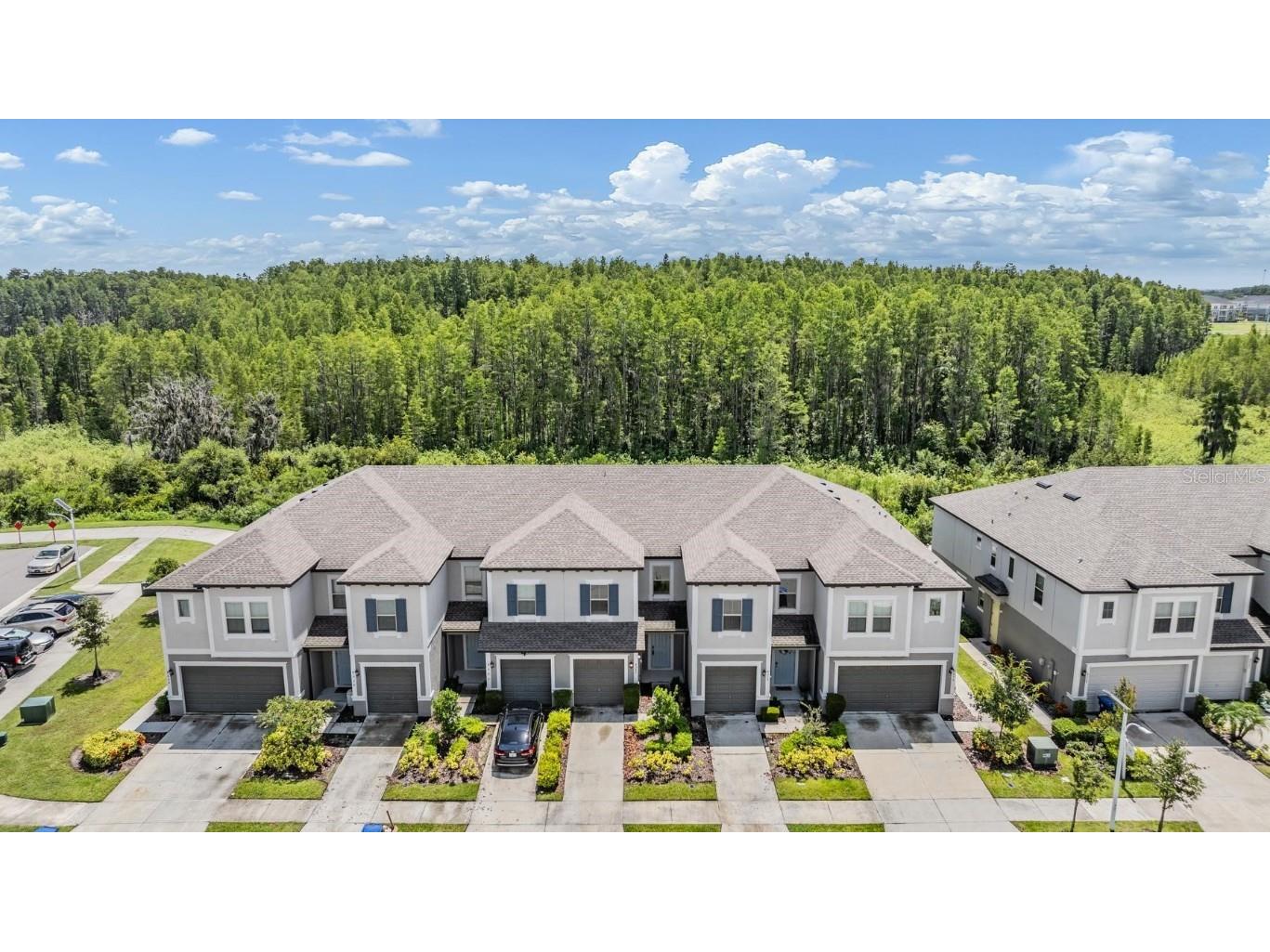 8082 Rolling Shell Trail Wesley Chapel FL 33545 TB8457575 image4