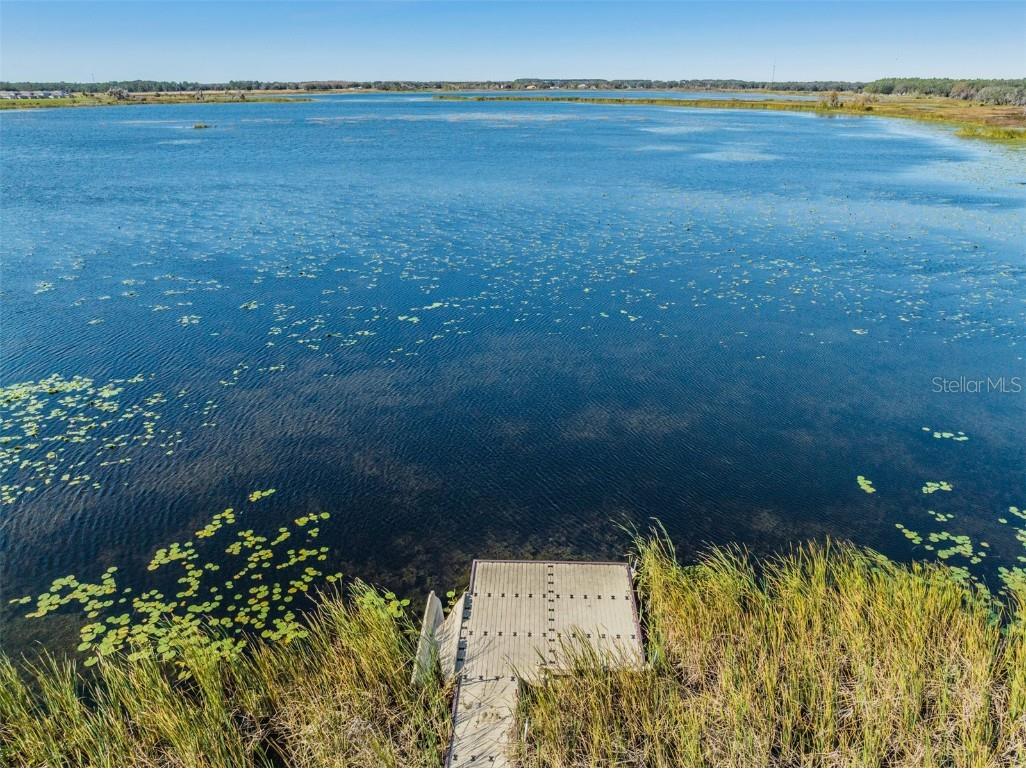 8082 Rolling Shell Trail Wesley Chapel FL 33545 TB8457575 image44