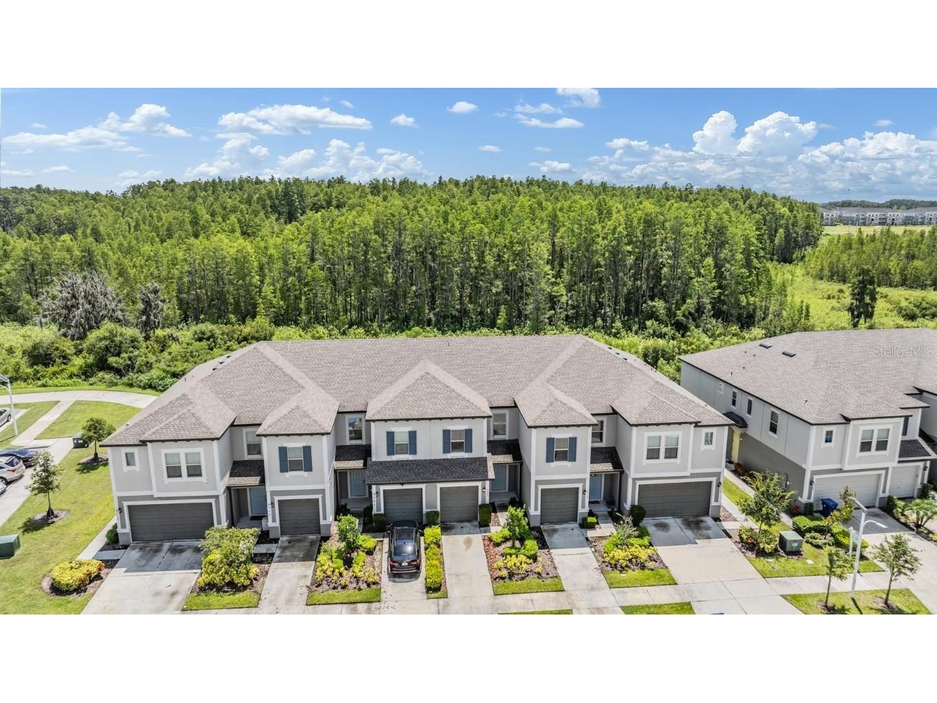 8082 Rolling Shell Trail Wesley Chapel FL 33545 TB8457575 image5